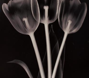 Mutriku Apartment | Txurruka - baskeyrentals