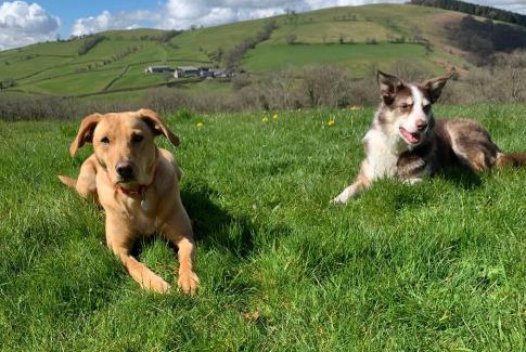 Brecon House | Ty Glo Cottage