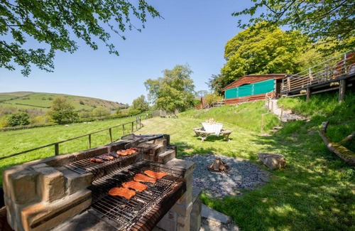 Kington Other | Ty Grug Pods