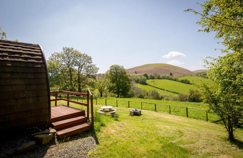 Kington Other | Ty Grug Pods