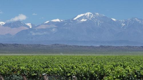 Tupungato Apartment | UCO APARTS, tu refugio en el corazón de los Andes