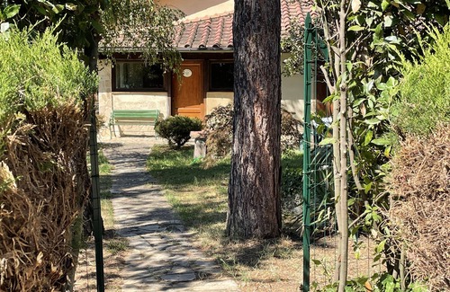 Vescovado House | Una casa nel bosco