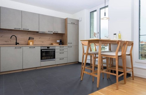 Innere Vorstadt Apartment | UNiQE Apartments 2R 65m2 | city center+free parking