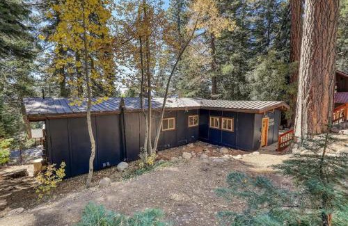 Tahoe Woods Ski Chalet | Updated Cabin near Beach&Ski HotTub Sauna Pets EV