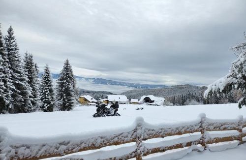 Diex Apartment | Urige Waldbienenhütte