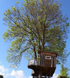 Zwettl Apartment | Urlaub am Bauernhof Weichselbaum