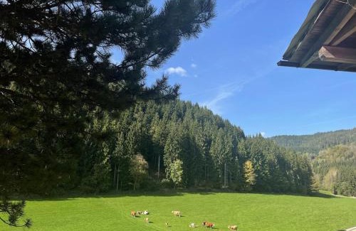 Bruckl Apartment | Urlaub am Christofberg