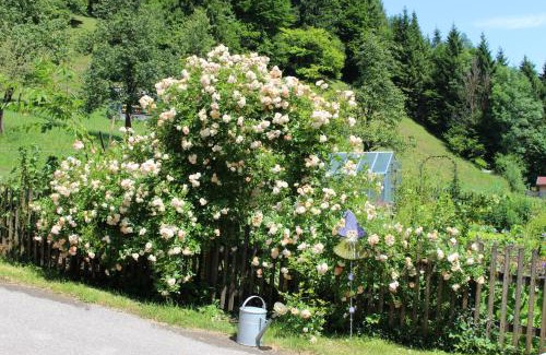 Scheibbs Apartment | Urlaub mitten im Wald - Lueg