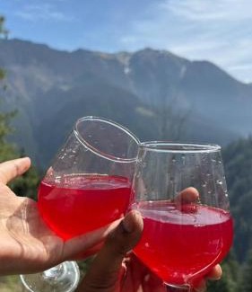 Banjar Villa | UrWish TreeHouse cottageJacuzzi