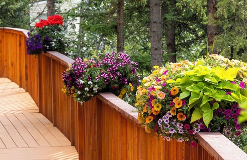 Denali Cabin | Deluxe King w/Sleeper Sofa Dall Suite