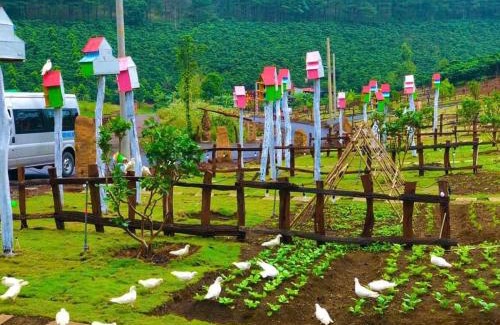 Bao Lam Other | Vườn An Nhiên - Bảo Lâm