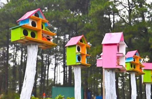 Bao Lam Other | Vườn An Nhiên - Bảo Lâm