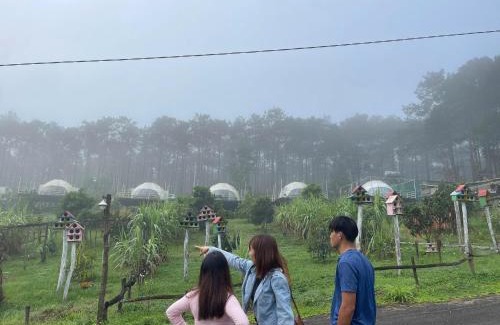 Bao Lam Other | Vườn An Nhiên Camping