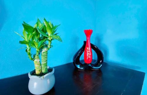 Van Giang Apartment | Vườn Tùng RiverSide retreat & Villa - KDT ECOPARK