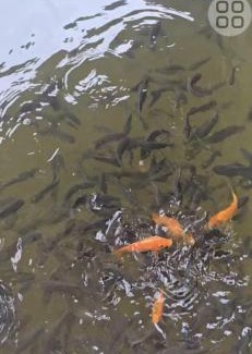 Phu My Hotel | V A C Haven Viet Nam 1