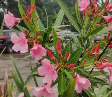 Fatehpur House | Vaayu Villa Fatehpur