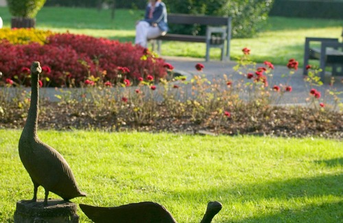 Bad Soden-Salmuenster Apartment | Vacation apartment/apartment for 4 guests with 54m² in Bad Soden-Salmünster (136915)