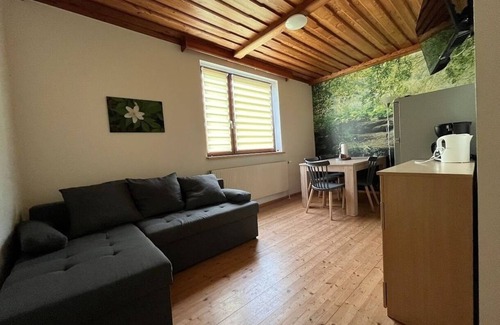 Großheinrichschlag Apartment | Vacation apartment/apartment for 4 guests with 55m² in Habruck (272838)