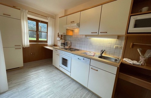 Faistenau Apartment | Vacation apartment II - 1 bedroom - Holiday apartments Faistenau - Haus Elfi