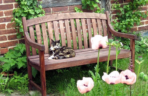 Kittendorf Apartment | Vacation apartment on the right (Brümmer) - Holiday apartments in the countryside