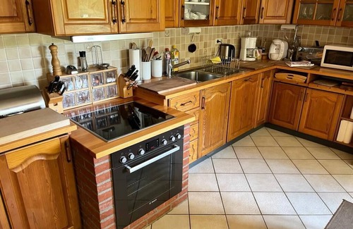 Brarupholz House | Vacation home thatched roof oasis