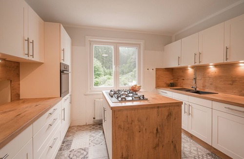 Wildemann House | Vacation Home 'Villa Hoheneck' with Private Terrace & Wi-Fi