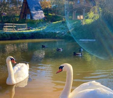 Albergaria-a-Velha House | Vale da Silva Villas - Quinta