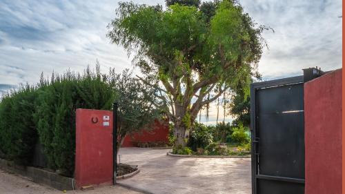 Corbera House | Valencia Autentica, Casa Rural " Flor de Azahar"