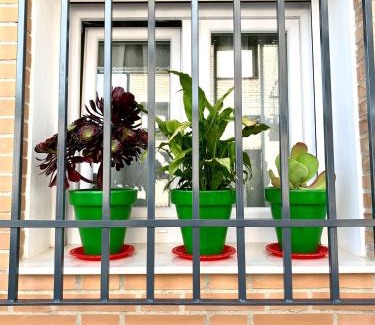 Antequera Apartment | Verde Oliva Albero Limon