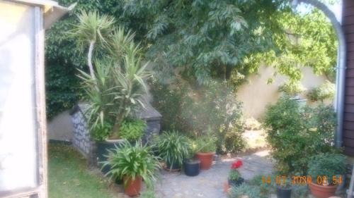 Dankerode Apartment | Vermiete sehr schönes Apartment in Dankerode im Harz