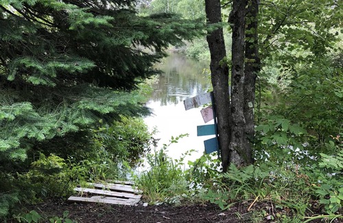 Petoskey Cabin | very private,adorable rustic cabin -out house , full shower house off barn