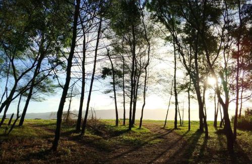 Pacitan House | VH Surf Camp