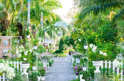 Tha Ta Kieb Resort | View Dao Jantra