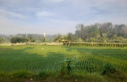 Batukliang Villa | Vila happy