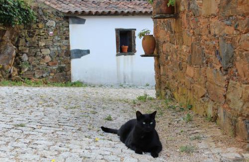 Serta House | Vilar dos Condes