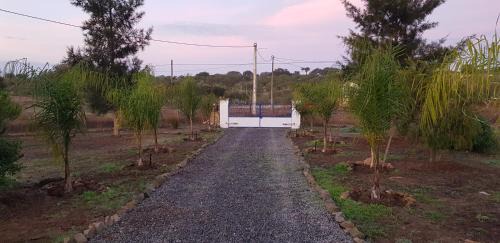 Aldeia dos Palheiros Villa | Villa à Ourique