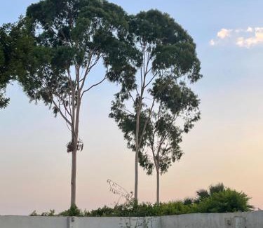 Fayed Villa | Villa 5 with Private Pool