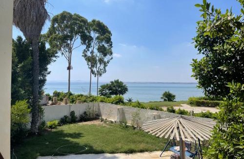 Fayed Villa | Villa 5 with Private Pool