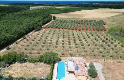 Buzinija Villa | Villa Absolute privacy