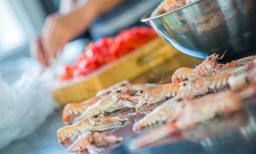 Pridraga Villa | Villa Anto