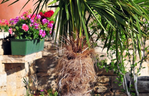 Lisicici Villa | Villa Asseria