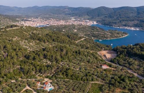 Vela Luka Villa | Villa Barbara - Olive Paradise, with chlorine-free pool