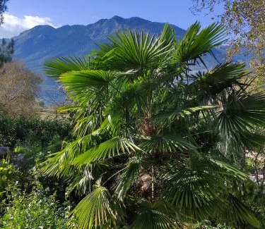 Polidrosos Villa | VILLA DOROTHY STUDIO