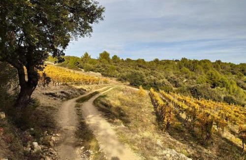 Felines-Minervois Villa | Villa Félines