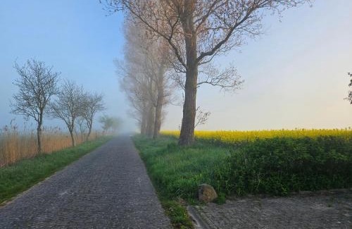 Horum Apartment | Villa Friesenkät - Deichblick