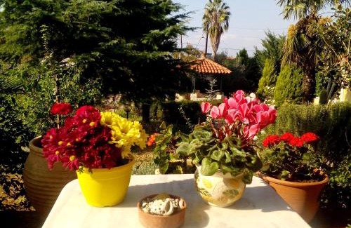 Agios Adrianos House | Villa Ioanna