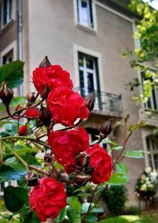 Allevard Apartment | Villa Isabelle