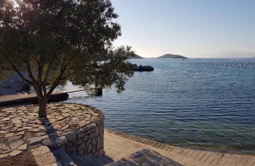 Brijesta Villa | Villa Iva