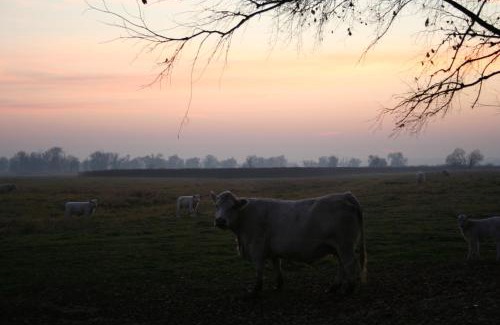 Strehlow House | Villa Lea Lee