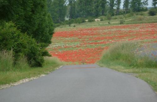 Strehlow House | Villa Lea Lee